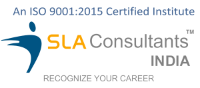 Local Business SLA Consultants India in New Delhi 