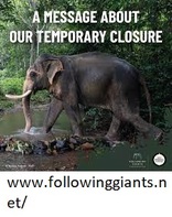 Elephant Sanctuary Tour