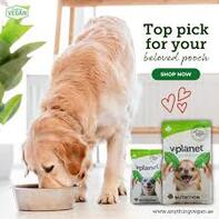 Natural Food for Obese Dogs Dubai