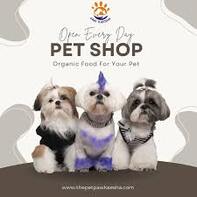 pet grooming in dubai