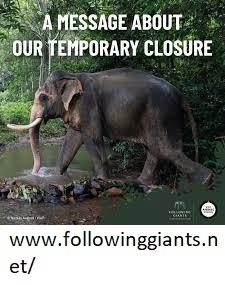 Elephant Sanctuary Tour