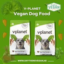 best dog food for dogs dubai