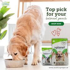 Vegan Dog Food Dubai