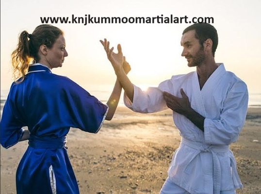 Martial arts journey taekwondo