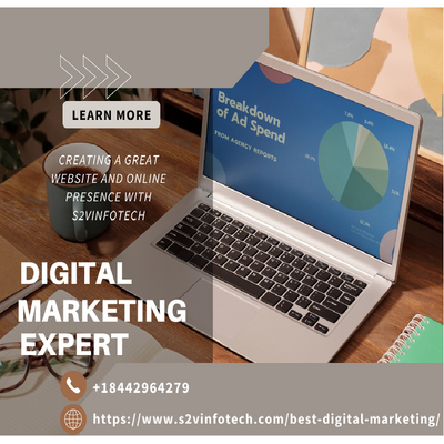 S2V Infotech: Digital Marketing Training in Mohali