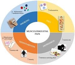 Duration of Pain O Soma’s Effects: A Complete Guide